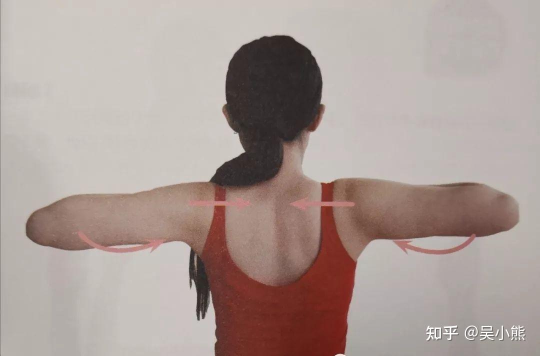 为什么胳膊伸直看起来是弯的? - 知乎