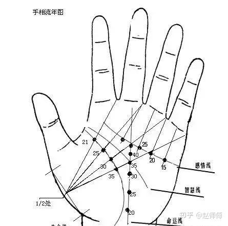 手相图解金花图片