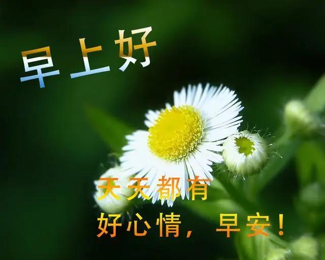 早上好漂亮动态表情图片大全21最新早安说说 知乎 早上好漂亮动态表情图片大全21最新早安说说 知乎
