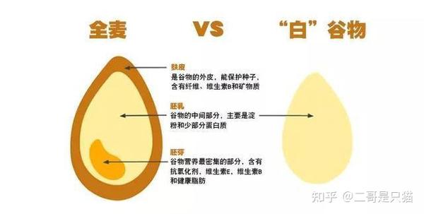 >>>>>什么是全麦面包?