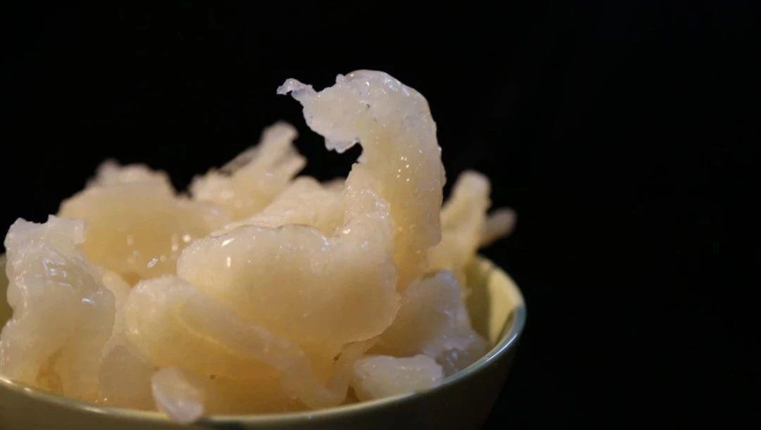 鱼肚究竟是什么?