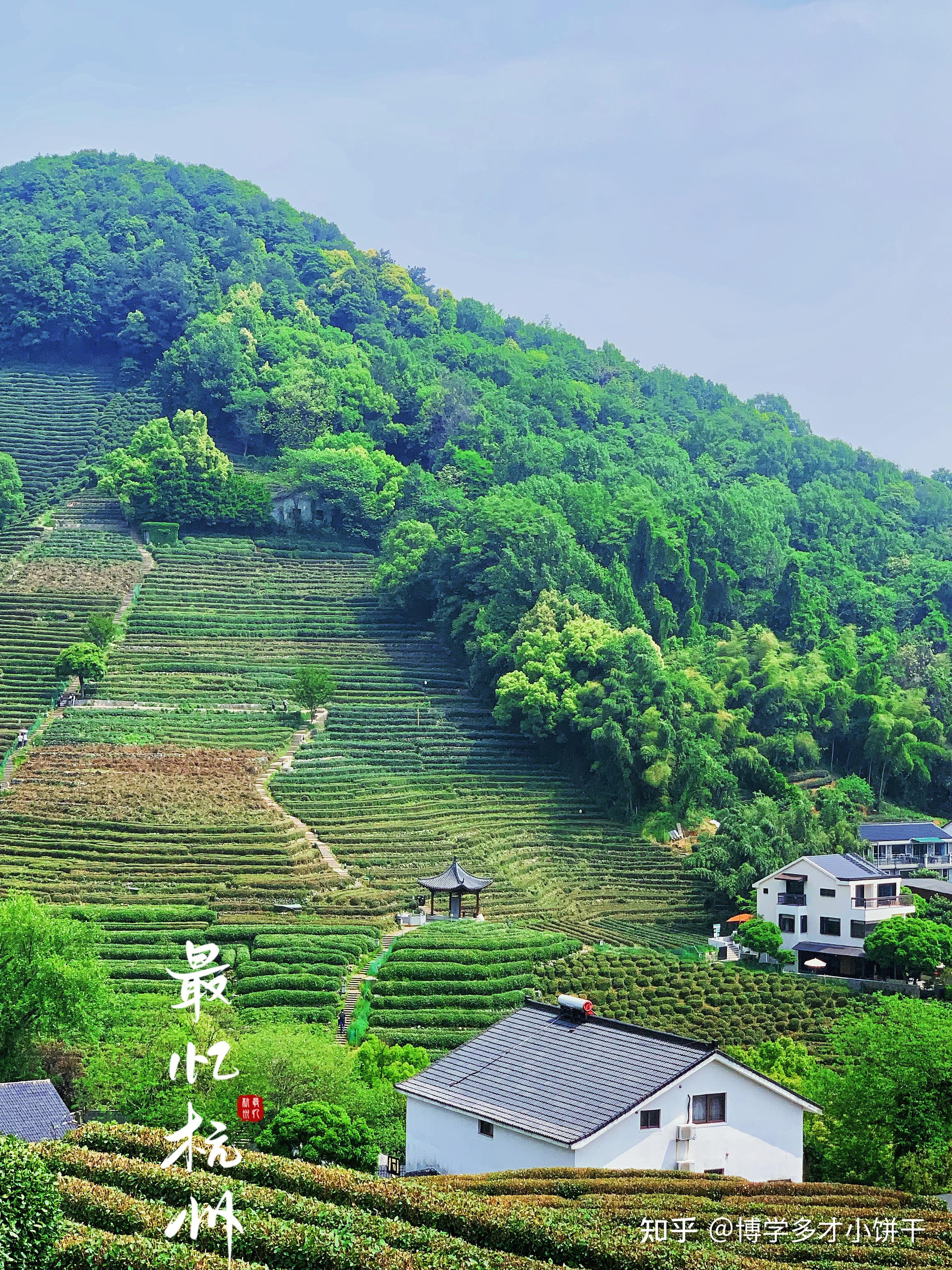 杭州附近有什么好玩的旅游景点(杭州附近有什么好玩的地方景点推荐)