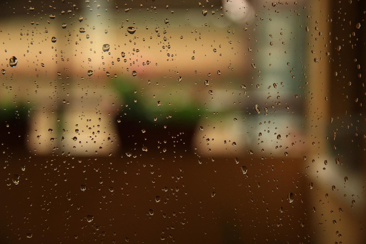 雨后清新秋景图