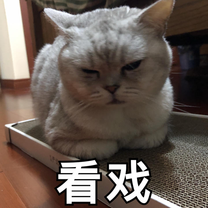 为什么我家的猫咪不会踩奶?