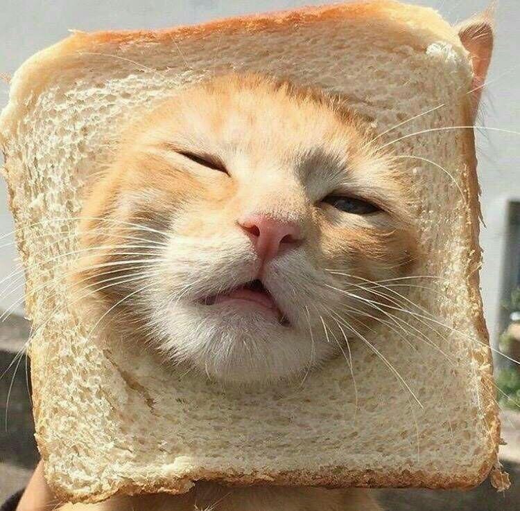 有没有什么惊艳的微信头像?-特别惊艳到人的微信头像