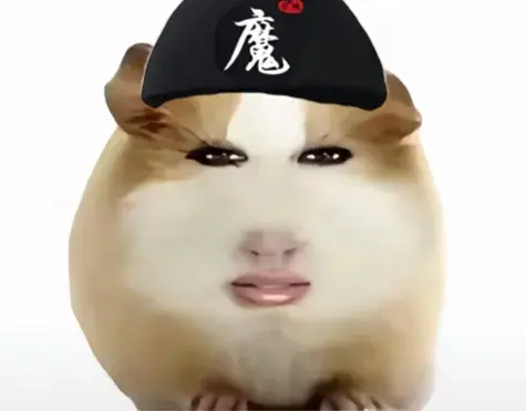 猪妞荷兰猪仙女下凡表情包(最新100张) - 知乎