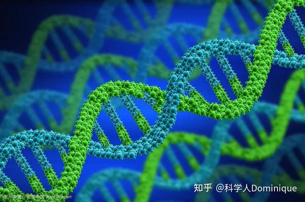 生命的奥秘：从细胞到进化的探索 - 知乎