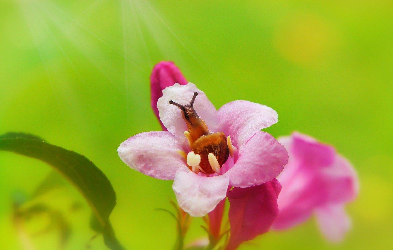 智能家居系统介绍