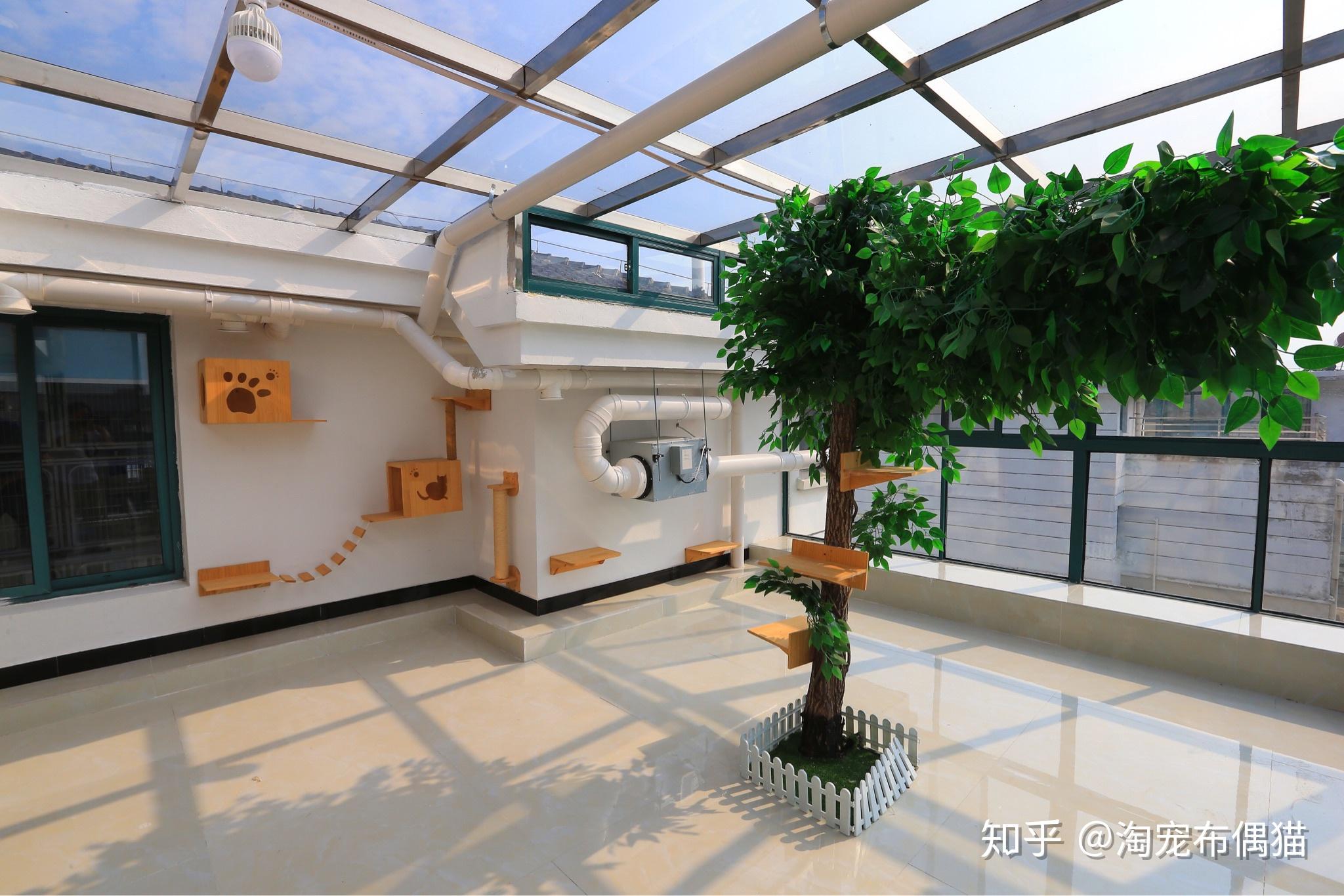 请问大家对后院猫舍怎么看?