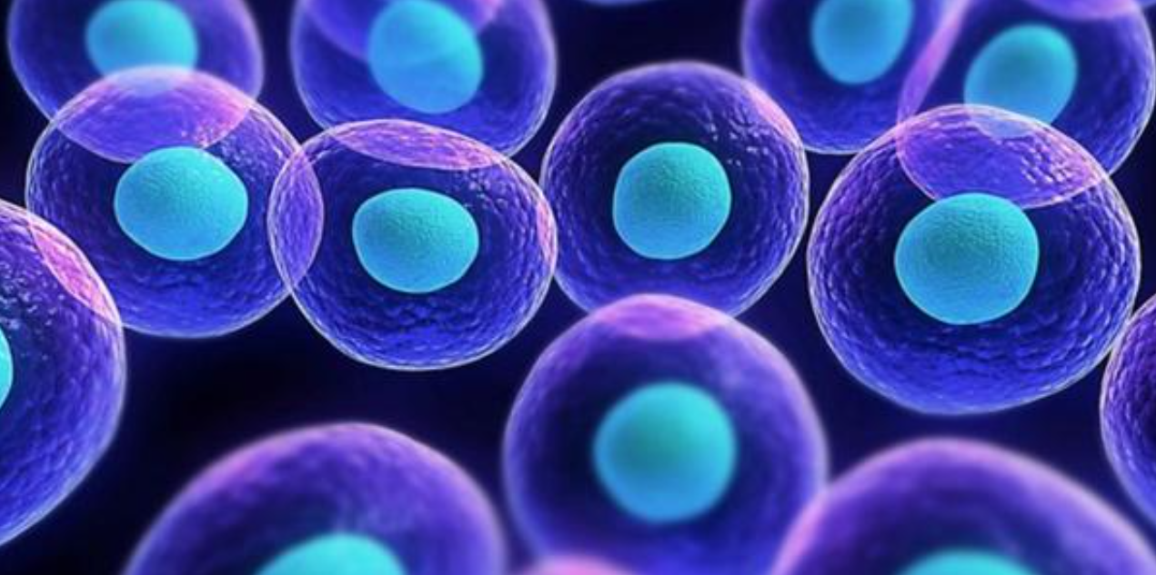 免疫球蛋白igg低是怎么回事 v2-059021f4f2117bf7b69a6bef895f17c9_1440w.jpg?source=172ae18b