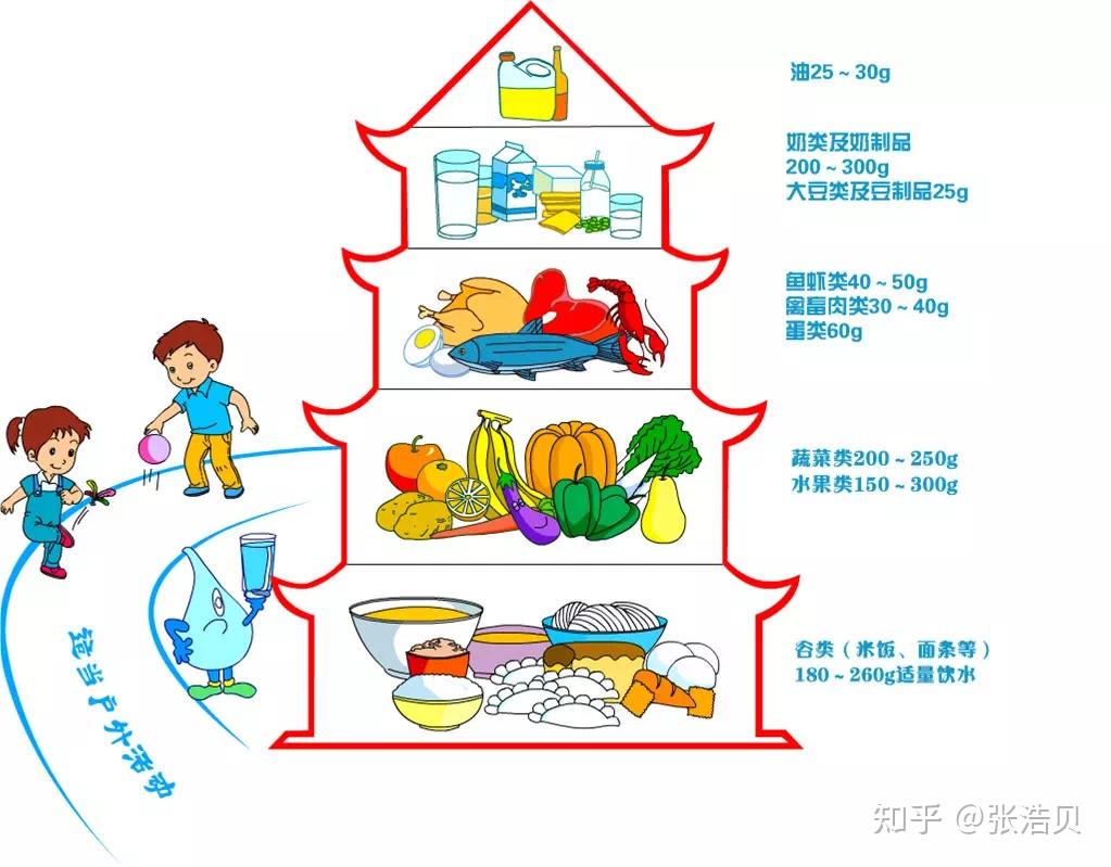 人体三大物质图片