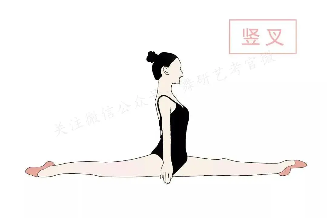 一份超详细的基本功训练示范图!舞蹈生都转走了~ - 知乎