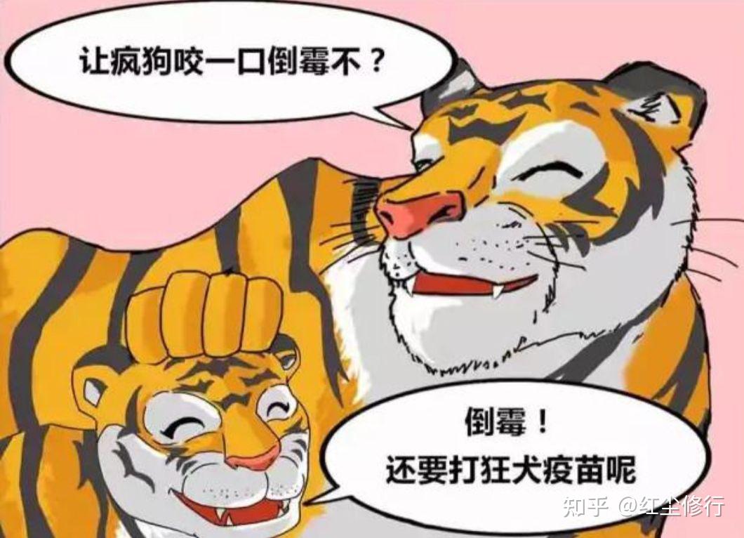 《老虎和疯狗》 - 知乎