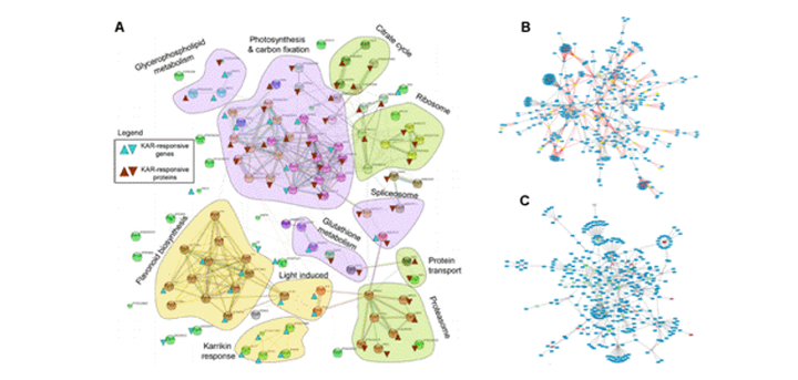 Python Clustering Analysis(I) - 知乎