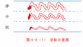 中医二十八脉及全部脉象(动态图解) - 知乎