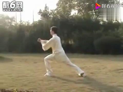 李占英杨式太极拳85式全套演练_标清