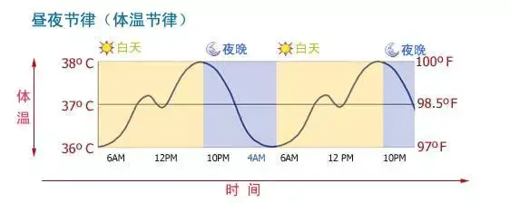 37 是发烧吗 L人体的正常体温是怎样波动的 知乎 37 是发烧吗 L人体的正常体温是怎样波动的 知乎
