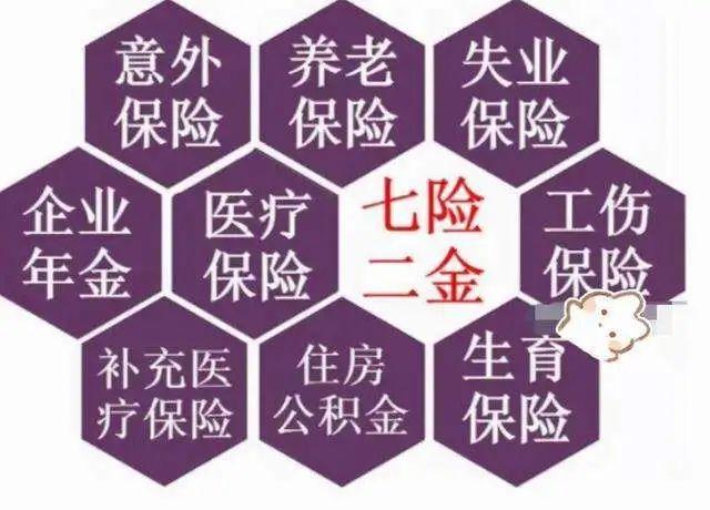 支付宝全民保交费多少年_全民保支付宝_支付宝交全民保