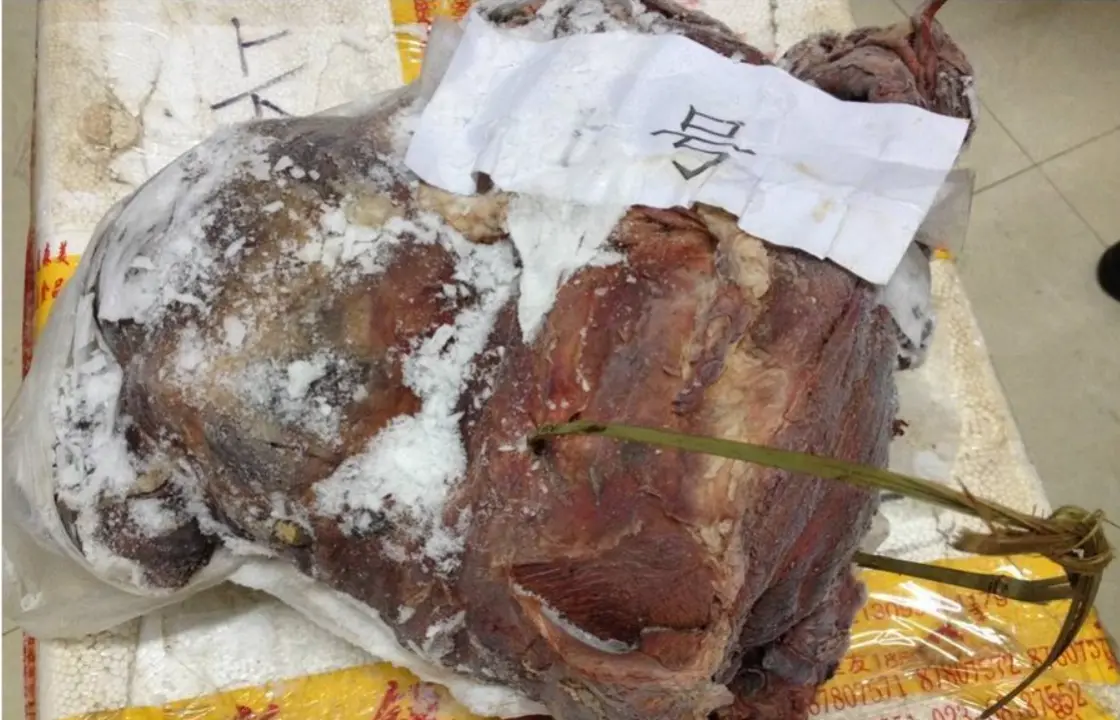 小吴冰箱里发现的大块兽肉