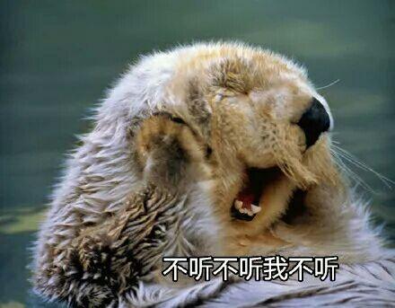 当年高考前一个星期你是怎么过的?