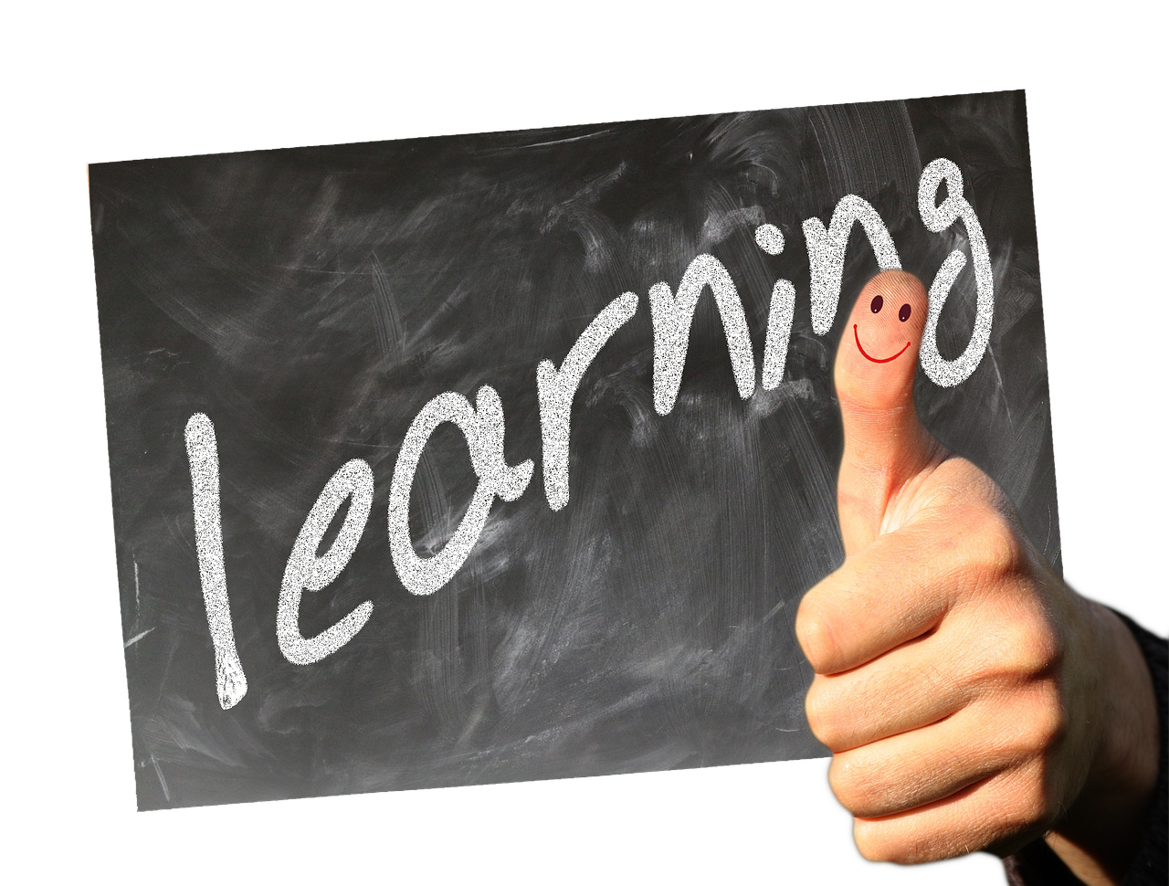 冬日暖意，感恩同行