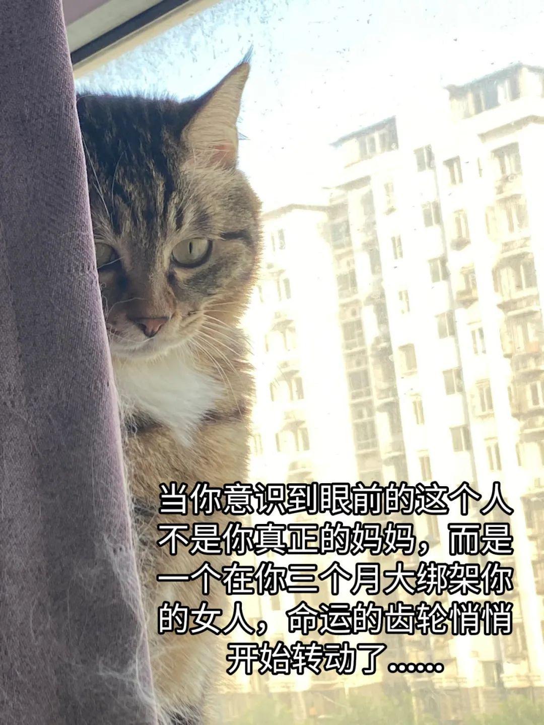 抖音上爆火的“命运的齿轮开始转动”，到底是怎么来的？ - 知乎