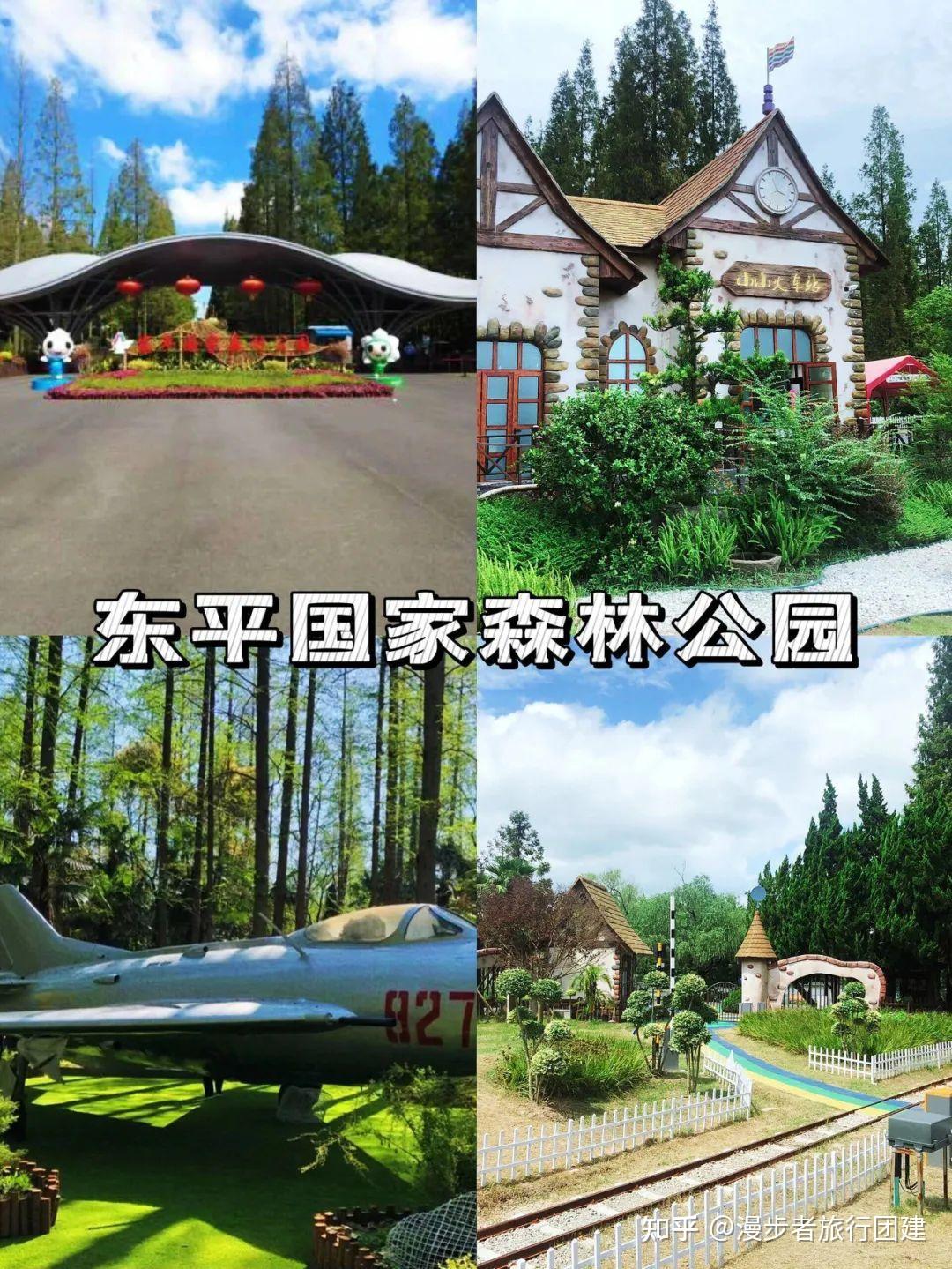 崇明岛旅游团建活动攻略 - 知乎