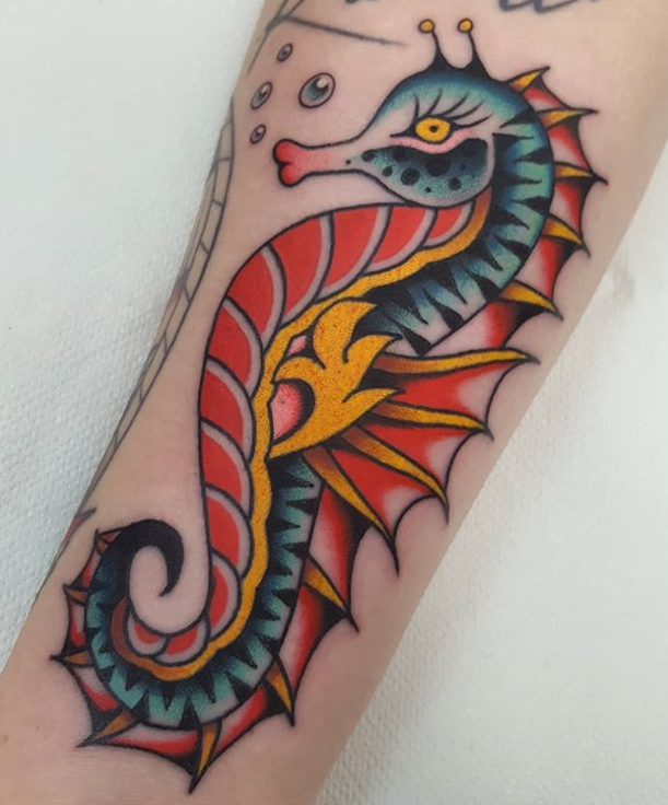 海马纹身丨它们是熟练的生存主义者 - 知乎