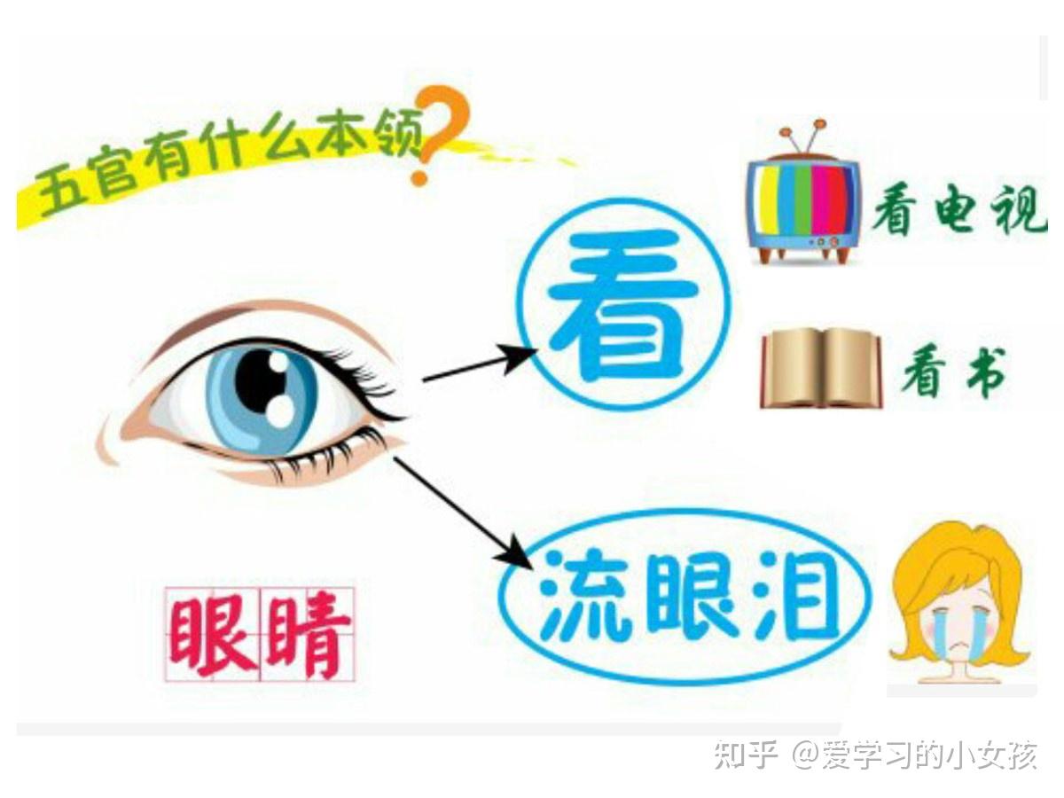 幼儿园小班健康《我的五官》视频+教案+课件+打印图 - 知乎