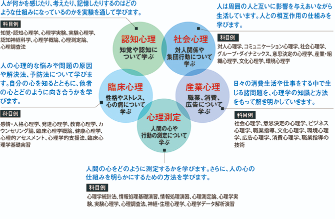 心理学是一个有着很多研究领域和支流分野的学科