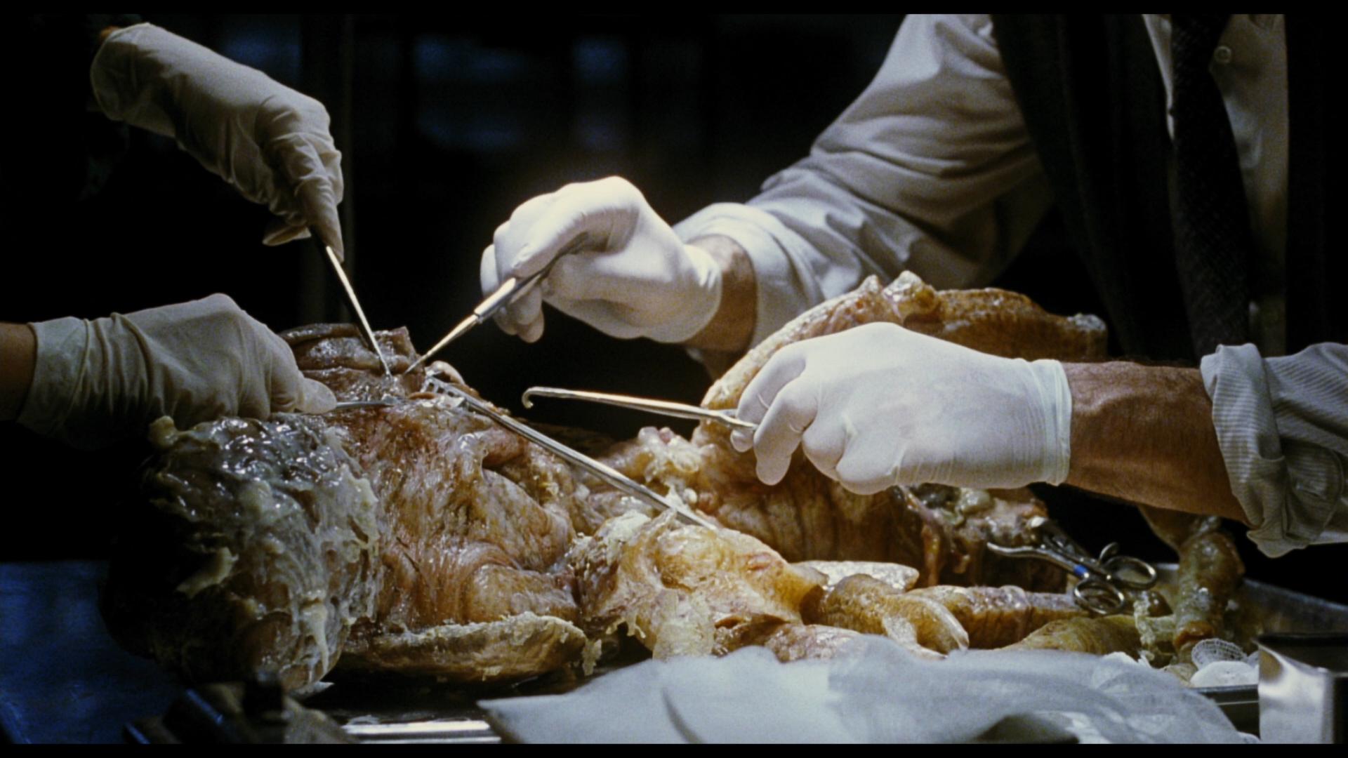 如何评价导演吉尔莫·德尔·托罗(guillermo del toro)?