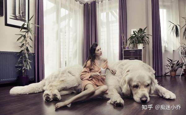 养大狗，这5个好处，你知道吗? - 知乎