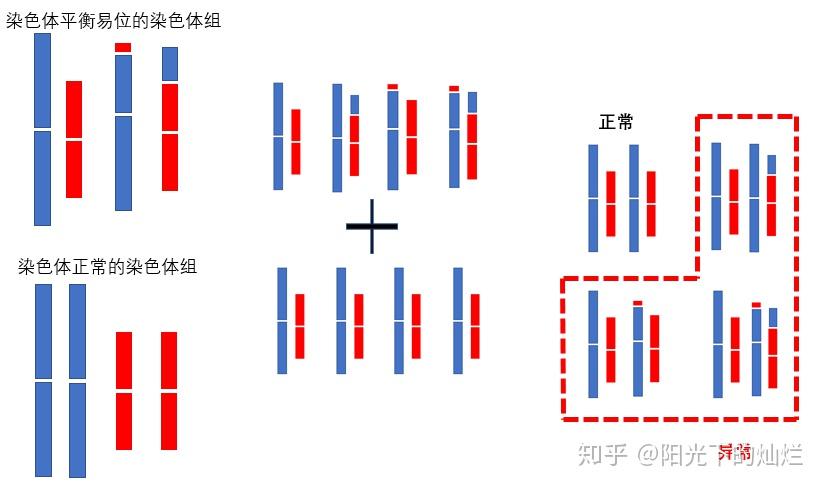 染色体易位:从基因融合到肿瘤发生 - 知乎
