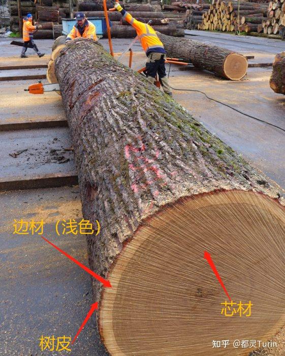 原木该如何切割使用、有何利弊?——弦切Plain Sawn、裂缝切Rift sawn、四分切Quarter sawn; - 知乎