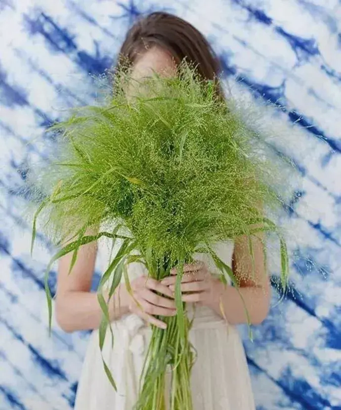 花艺 ∣ 完美花束不可少的7款超高颜值配草,你知道吗?