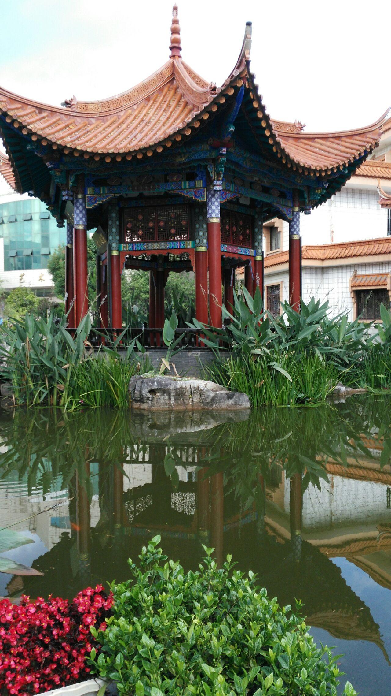 在玉溪一中就读是怎样的体验?