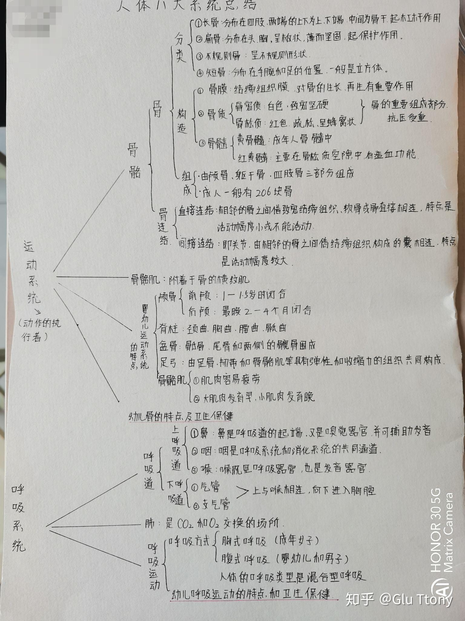 人体八大系统总结