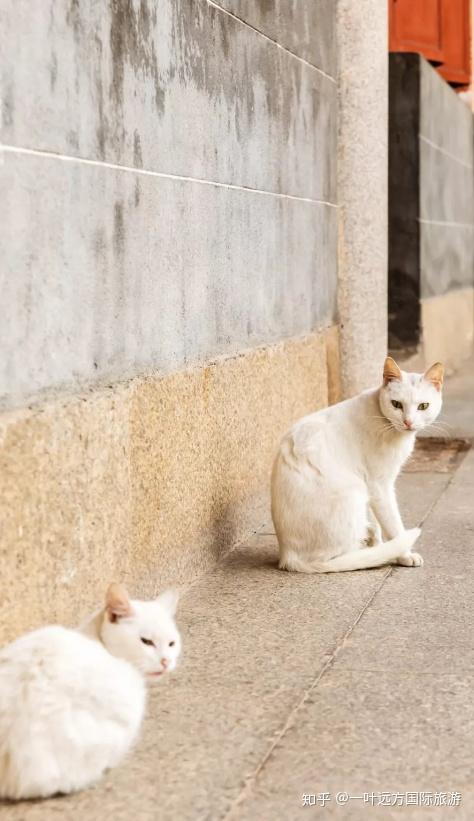 【北纬18°】海南三亚五天四晚双人畅游~