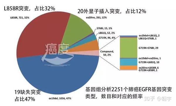 肺癌egfr基因20外显子插入突变的类别及治疗策略