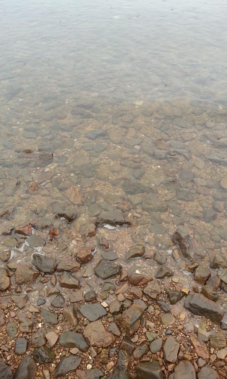 威海海水温度查询