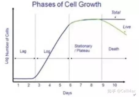 细胞培养常见问题之细胞生长问题 知乎