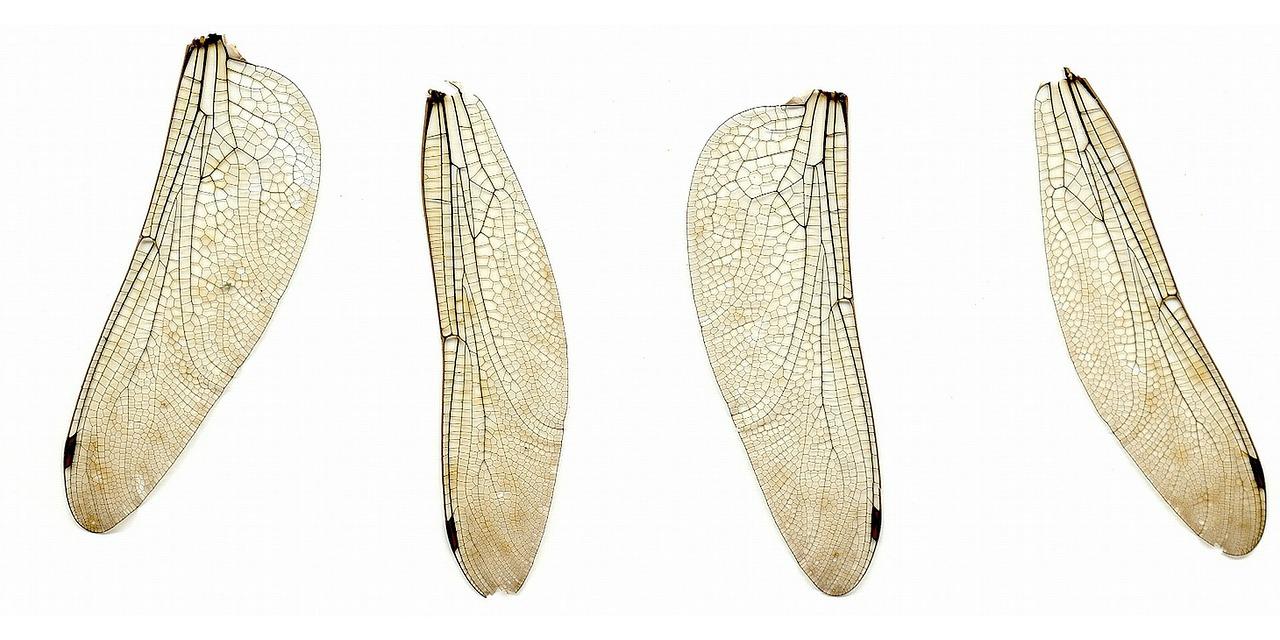 探索未知的勇气