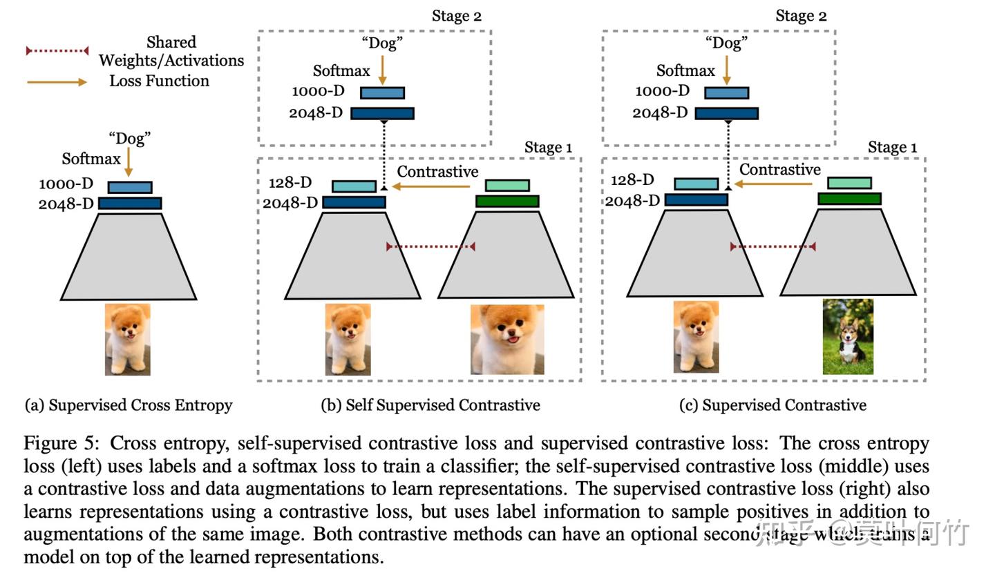 Supervised Contrastive Learning - 知乎