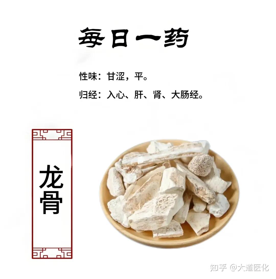 龙骨的功效与作用 - 知乎