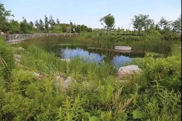 【行业观察】100年来国土空间生态修复的国际经验及典型案例 知乎 