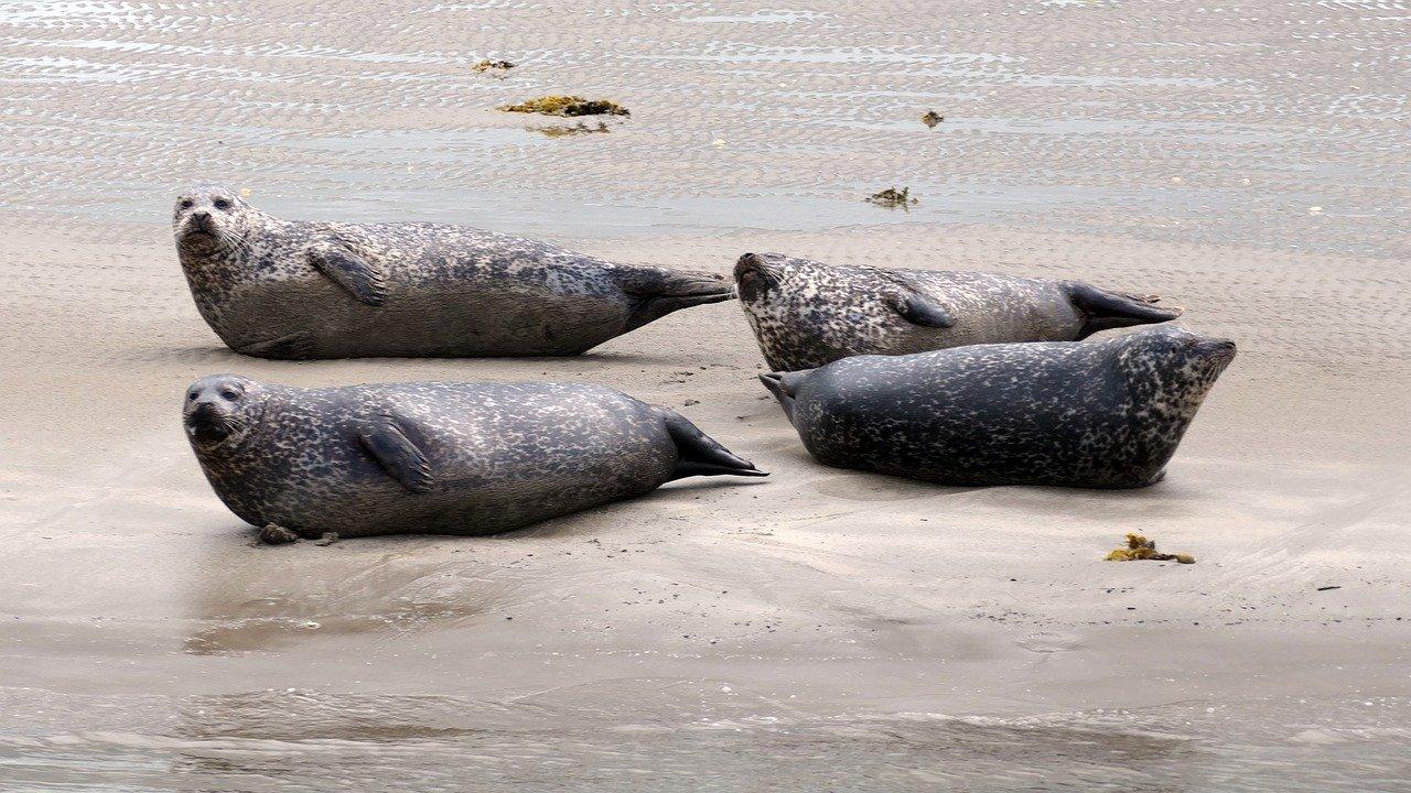 2. 密封条定位固定
