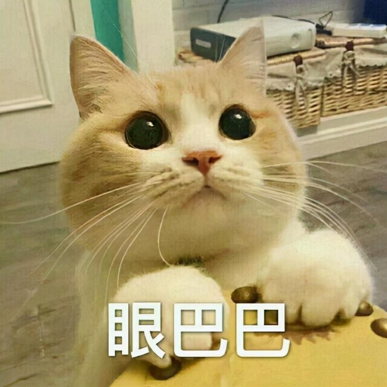 只能望眼欲穿有羡慕,有不甘,有无奈