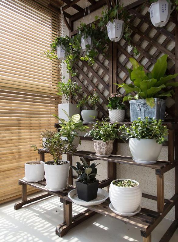 阳台也可以是小花房!