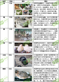 我国明确的33类禽畜是哪些,99图带你了解它们 - 知乎