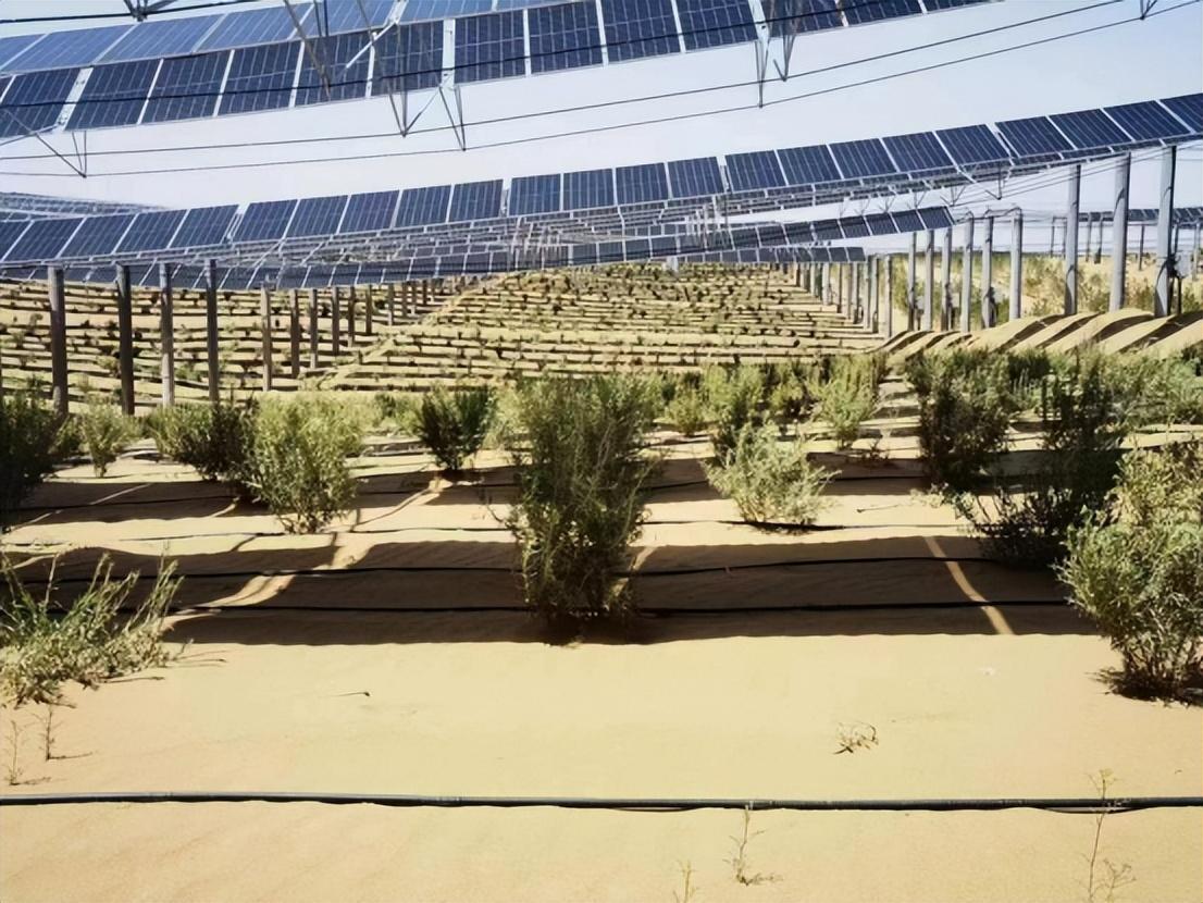 亿利洁能甘肃武威50万千瓦立体光伏治沙产业化示范项目并网发电